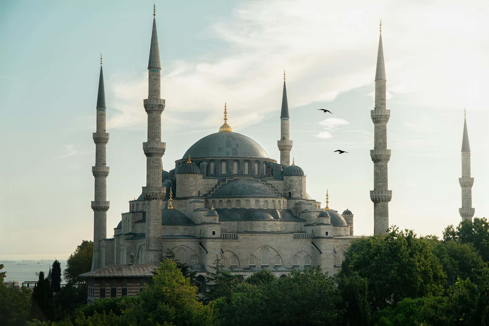 السلطان أحمد
